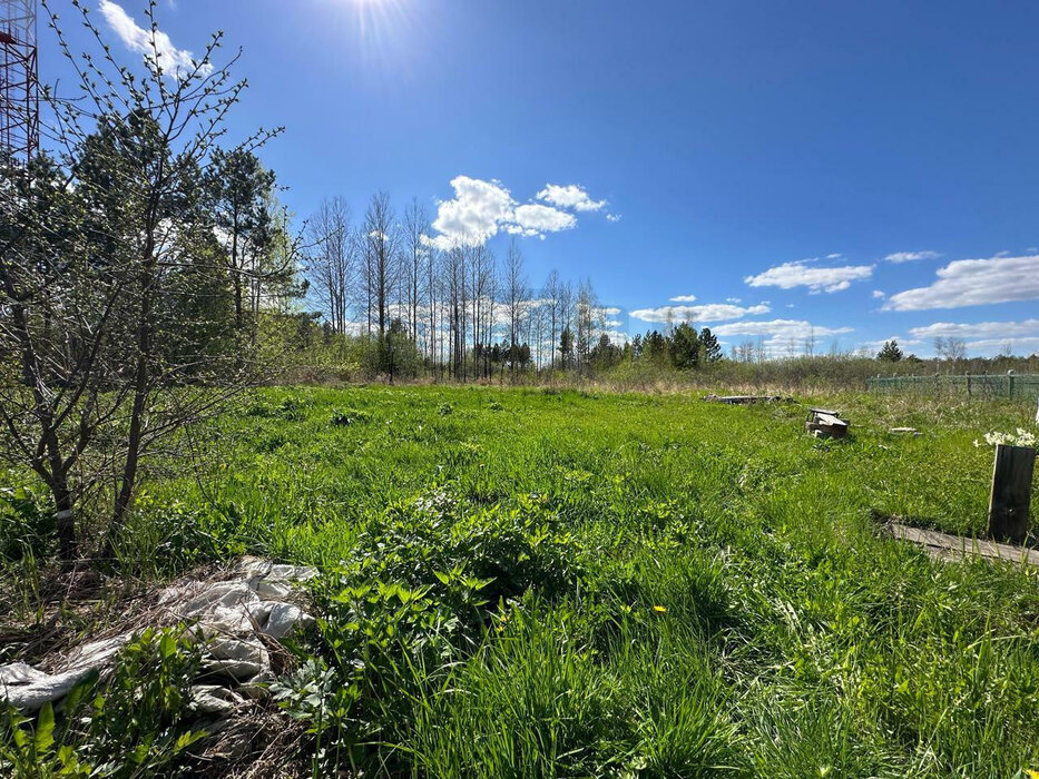 Екатеринбург, садоводческое товарищество «Патра», уч. Nº42 (Верхнемакарово) - фото сада (5)