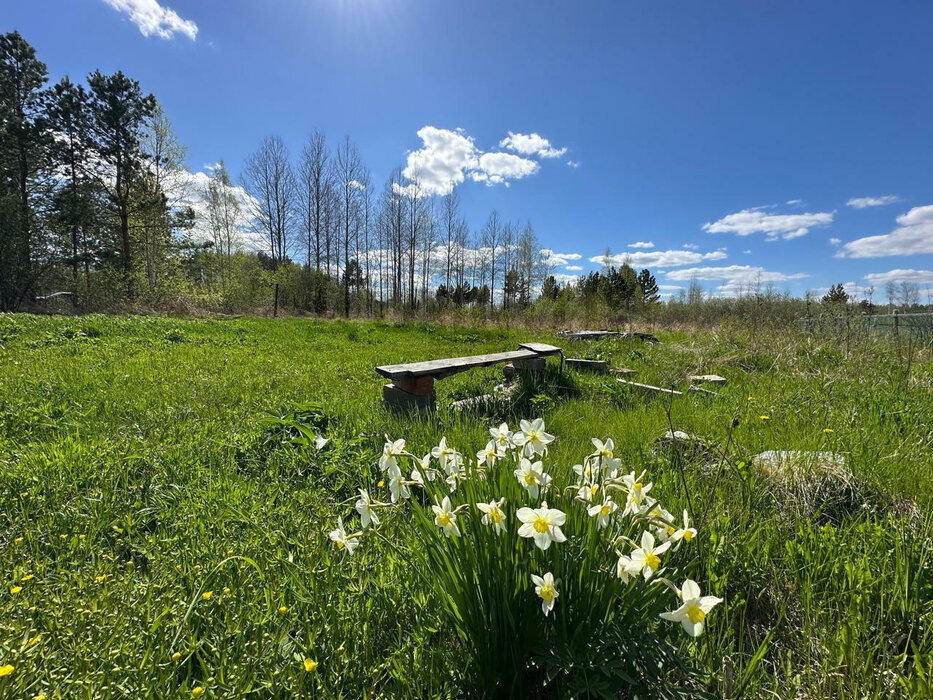 Екатеринбург, садоводческое товарищество «Патра», уч. Nº42 (Верхнемакарово) - фото сада (6)