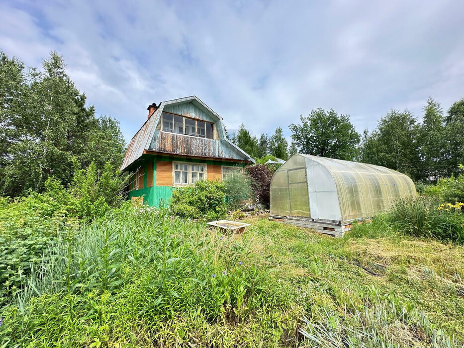 п. Верх-Нейвинский, СНТ Металлург (городской округ Верх-Нейвинский) - фото сада (2)