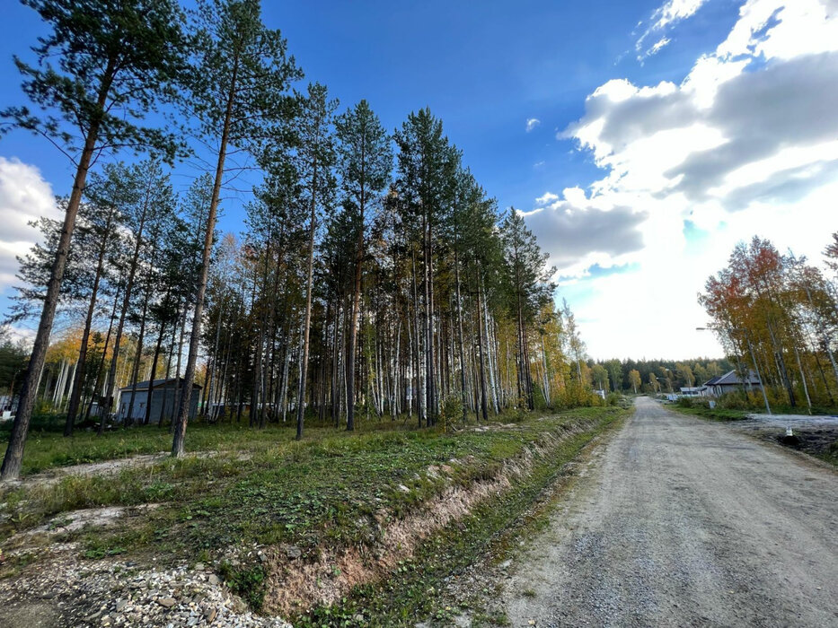к.п. Заповедник, ул. Лисий лес (городской округ Сысертский, п. Габиевский) - фото земельного участка (3)