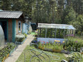Продажа садового участка: Екатеринбург, к/с Опора (Технопарк) - Фото 4