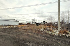 Екатеринбург, СНТ Мираж - фото сада