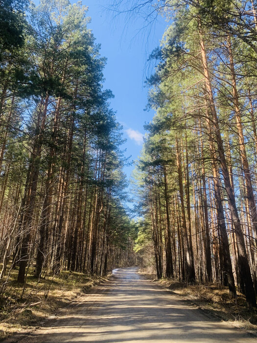 с. Курганово, ул. район с. Курганово; д. Раскуиха; п. Зеленый Лог (городской округ Полевской) - фото земельного участка (2)