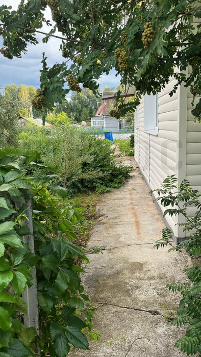 п. Аять, СНТ Строитель-80, уч. 36 (городской округ Невьянский) - фото сада (3)