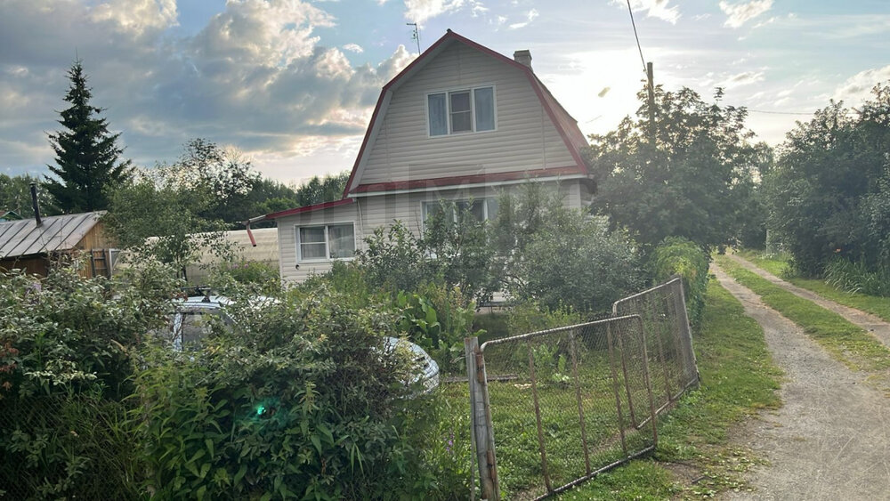 п. Аять, СНТ Строитель-80, уч. 36 (городской округ Невьянский) - фото сада (4)