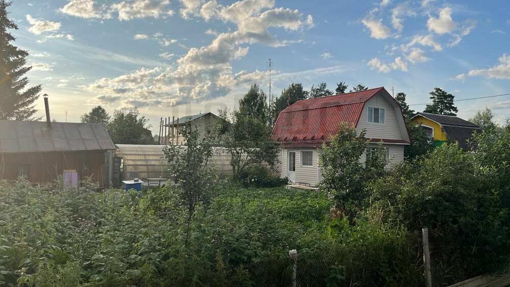 п. Аять, СНТ Строитель-80, уч. 36 (городской округ Невьянский) - фото сада (5)