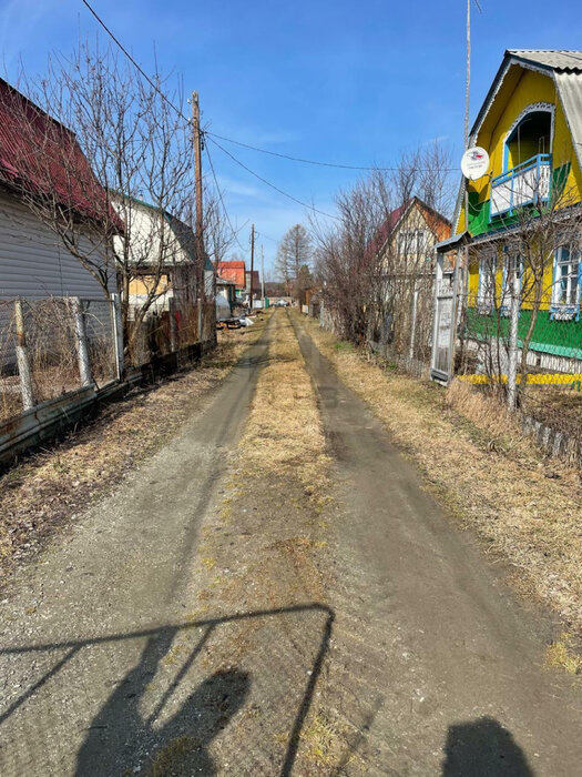п. Аять, СНТ Строитель-80, уч. 36 (городской округ Невьянский) - фото сада (6)