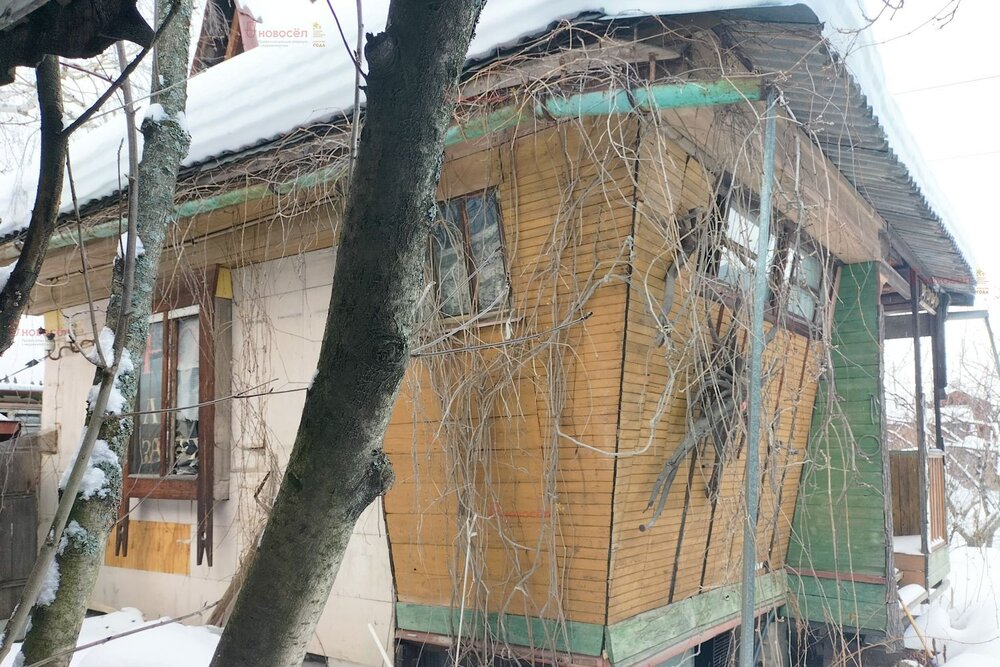 Екатеринбург, СНТ Малахит - фото сада (2)