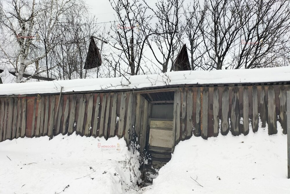 Екатеринбург, СНТ Малахит - фото сада (3)