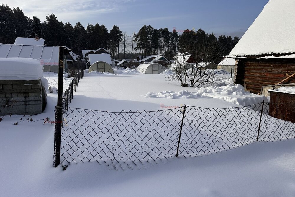 г. Березовский, ДНТ Ясная Поляна (городской округ Березовский) - фото сада (5)