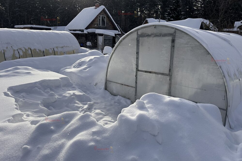 г. Березовский, ДНТ Ясная Поляна (городской округ Березовский) - фото сада (6)