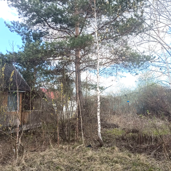 Екатеринбург, Садоводческое товарищество 