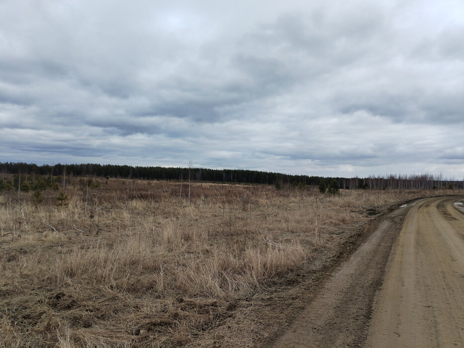 к.п. Шишкино (городской округ Березовский) - фото земельного участка (1)