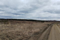 к.п. Шишкино (городской округ Березовский) - фото земельного участка