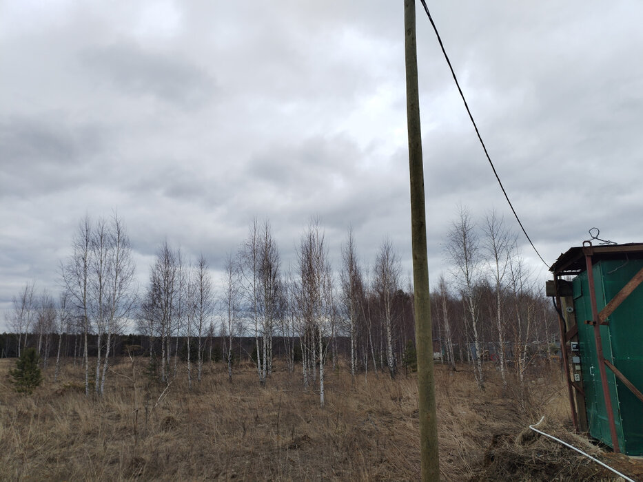 к.п. Шишкино (городской округ Березовский) - фото земельного участка (2)