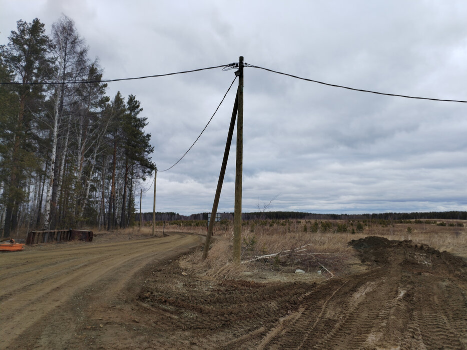 к.п. Шишкино (городской округ Березовский) - фото земельного участка (3)