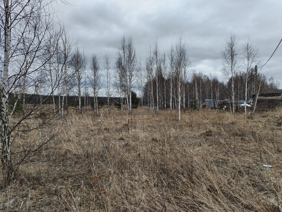 к.п. Шишкино (городской округ Березовский) - фото земельного участка (6)