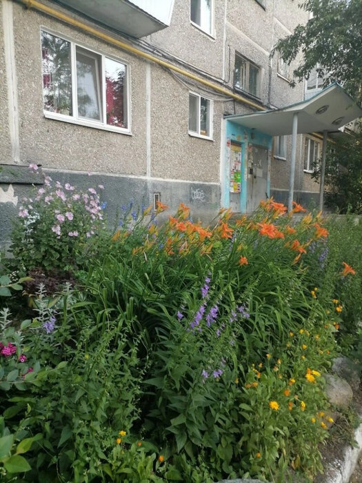 Екатеринбург, ул. Заводская, 46 (ВИЗ) - фото квартиры (8)