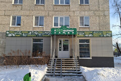 г. Верхняя Пышма, ул. Уральских рабочих, 43 (городской округ Верхняя Пышма) - фото торговой площади