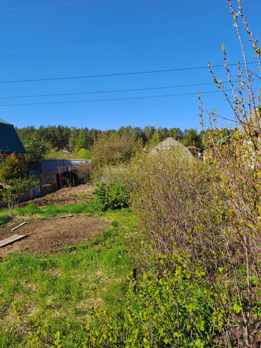 Екатеринбург, снт. Академстрой (кад.кв-л, уч. 0313032),138 - фото сада (7)