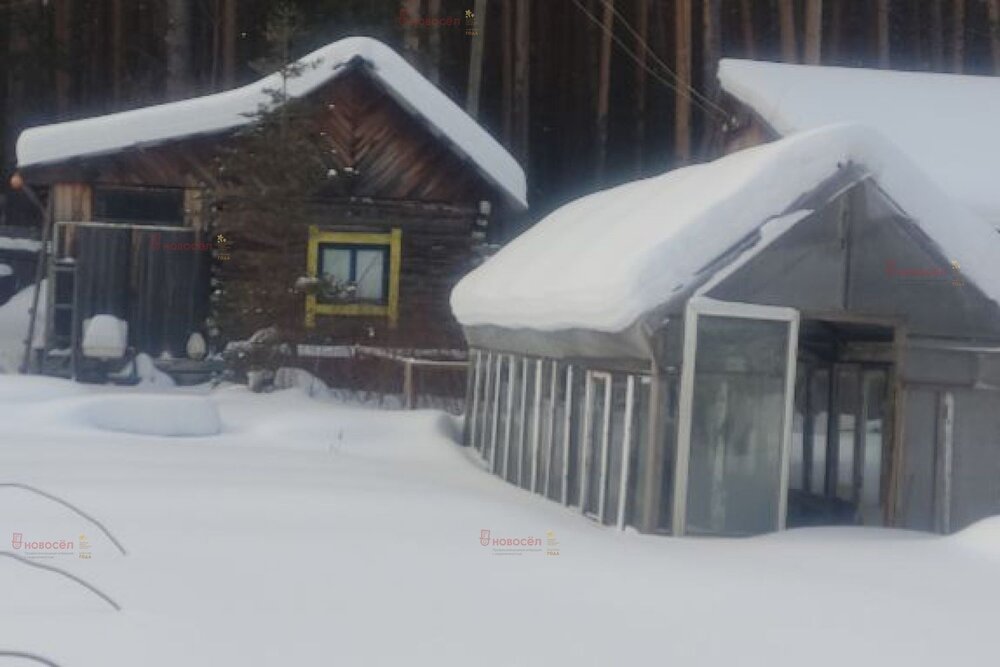 г. Березовский, коллективный сад № 61, уч.   (городской округ Березовский) - фото сада (4)