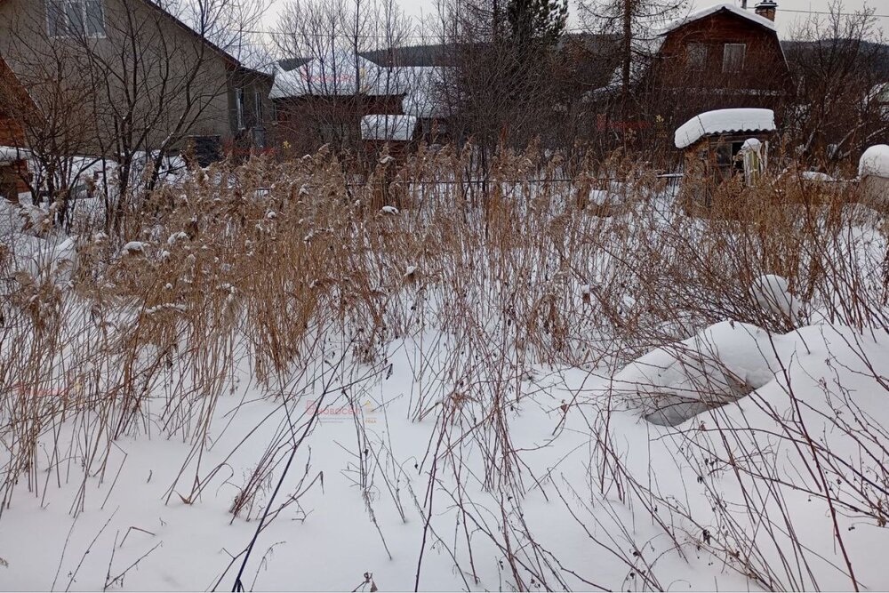 Екатеринбург, СНТ Родничок, уч. 125 - фото сада (7)