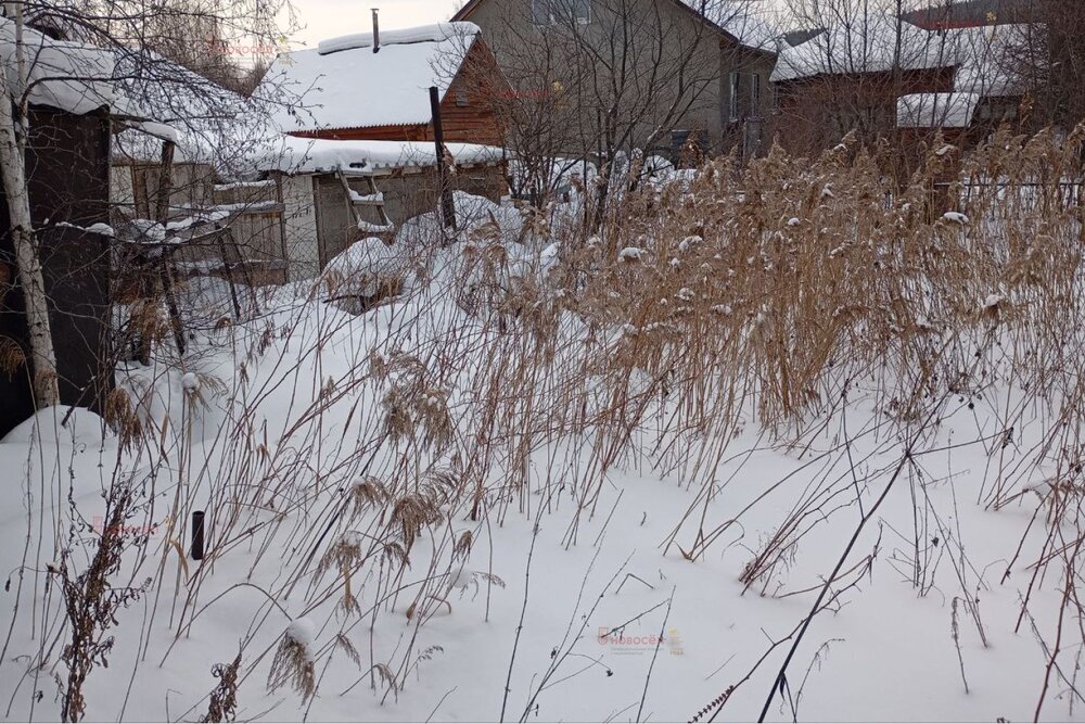 Екатеринбург, СНТ Родничок, уч. 125 - фото сада (8)