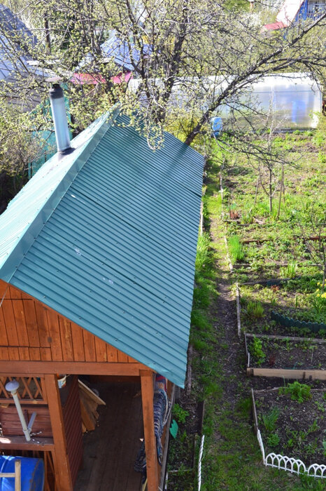 Екатеринбург, к/с Лесовод, уч. №28 - фото сада (4)