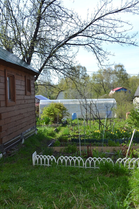 Екатеринбург, к/с Лесовод, уч. №28 - фото сада (5)