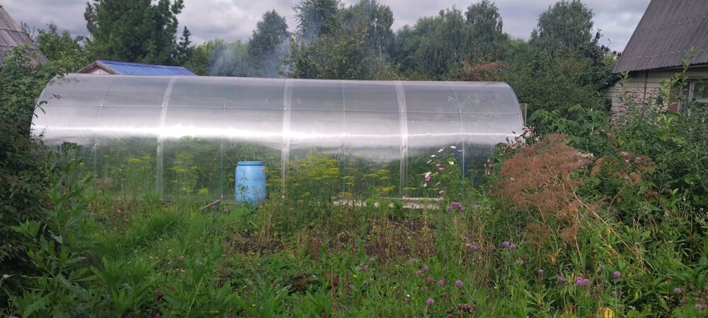 Екатеринбург, к/с Лесовод, уч. №28 - фото сада (6)