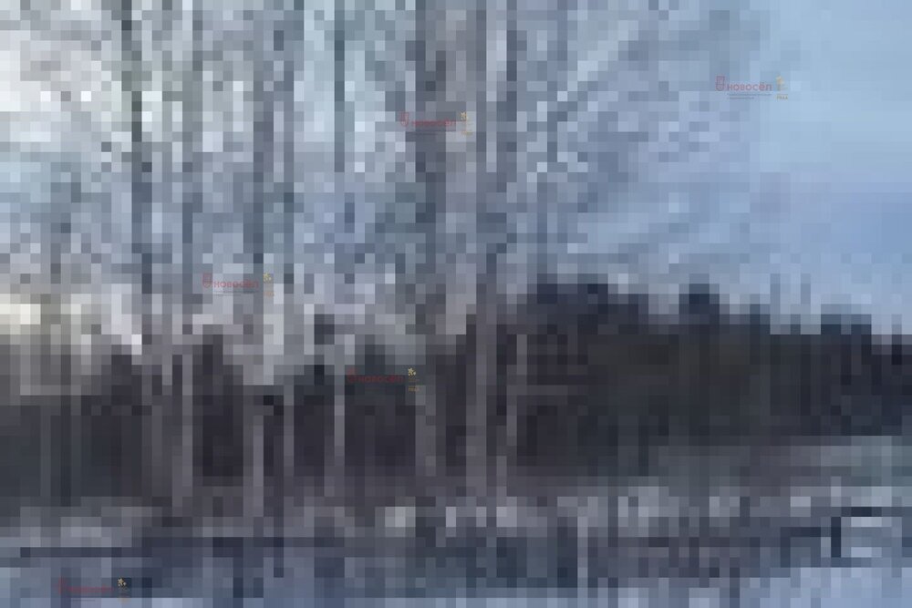 п. Мраморское, ул. Пушкина, 55 (городской округ Полевской) - фото земельного участка (3)