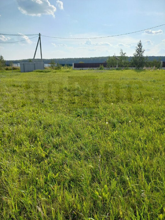 к.п. Журавли, уч. 173 (городской округ Сысертский, с. Черданцево) - фото земельного участка (1)