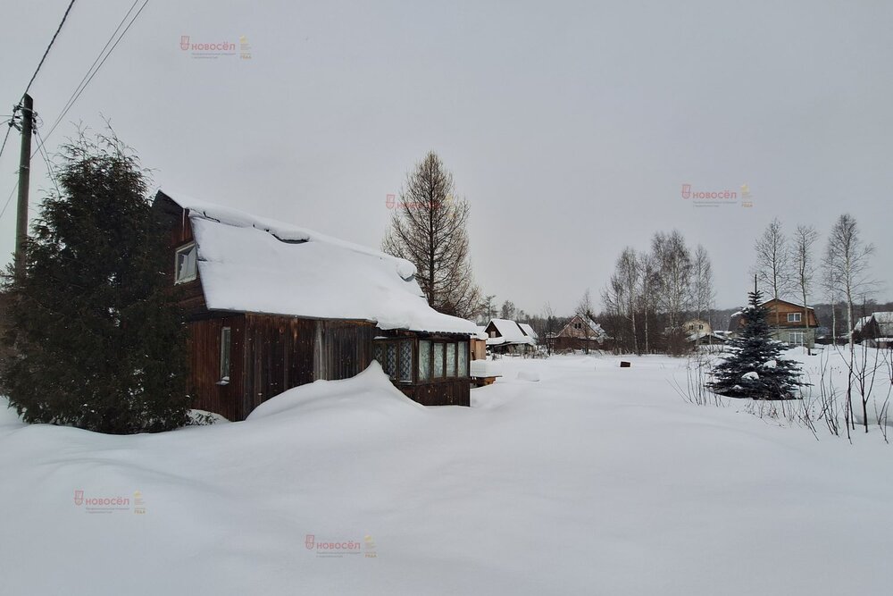 г. Верхняя Пышма, СНТ Рябинушка, 15 (городской округ Верхняя Пышма) - фото сада (3)