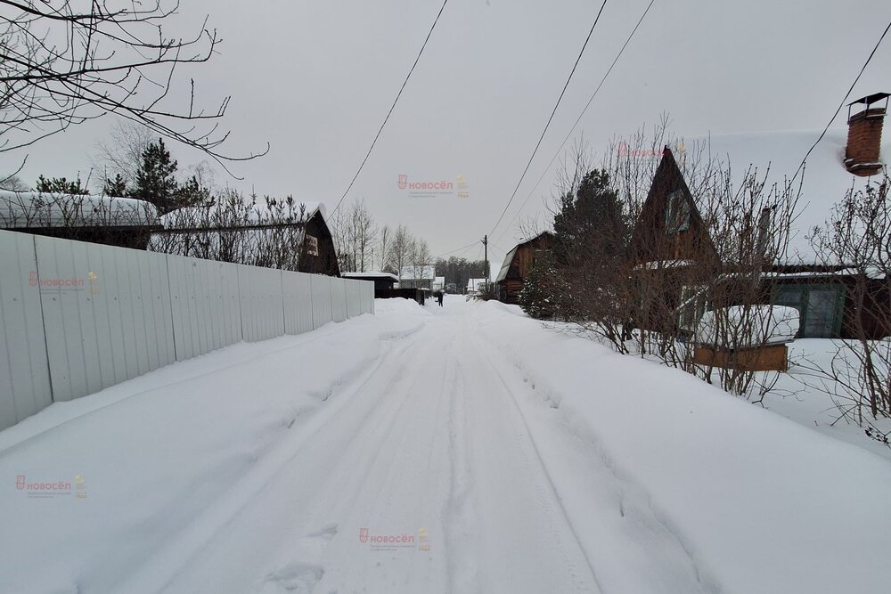 г. Верхняя Пышма, СНТ Рябинушка, 15 (городской округ Верхняя Пышма) - фото сада (4)