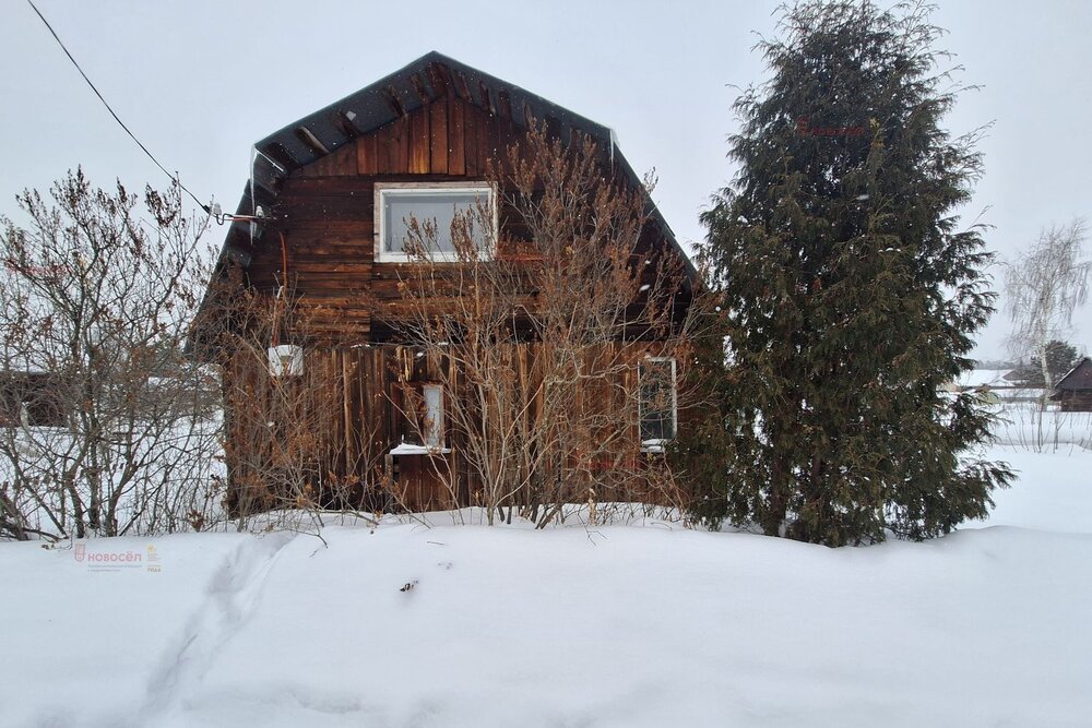 г. Верхняя Пышма, СНТ Рябинушка, 15 (городской округ Верхняя Пышма) - фото сада (5)