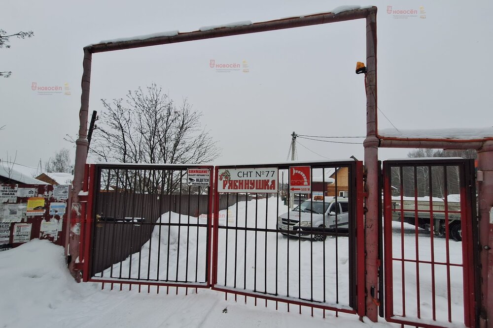 г. Верхняя Пышма, СНТ Рябинушка, 15 (городской округ Верхняя Пышма) - фото сада (6)