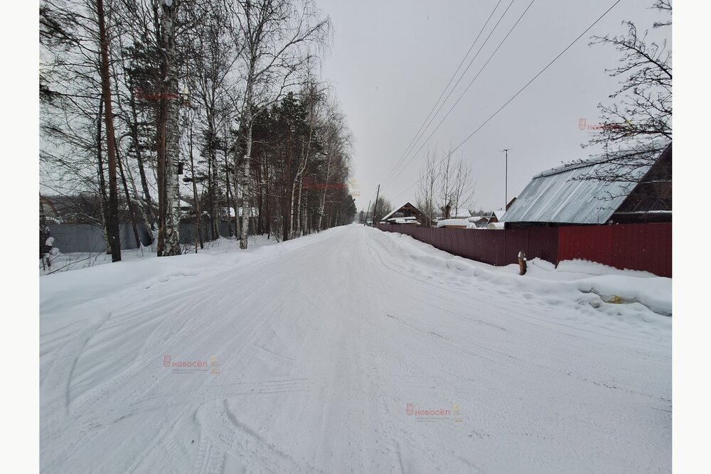 г. Верхняя Пышма, СНТ Рябинушка, 15 (городской округ Верхняя Пышма) - фото сада (7)