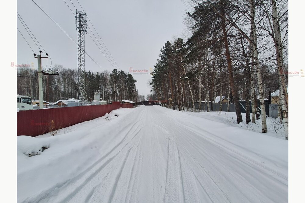г. Верхняя Пышма, СНТ Рябинушка, 15 (городской округ Верхняя Пышма) - фото сада (8)
