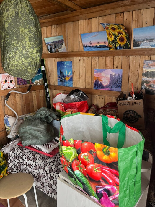 г. Первоуральск, коллективный сад № 20  (городской округ Первоуральск) - фото сада (8)