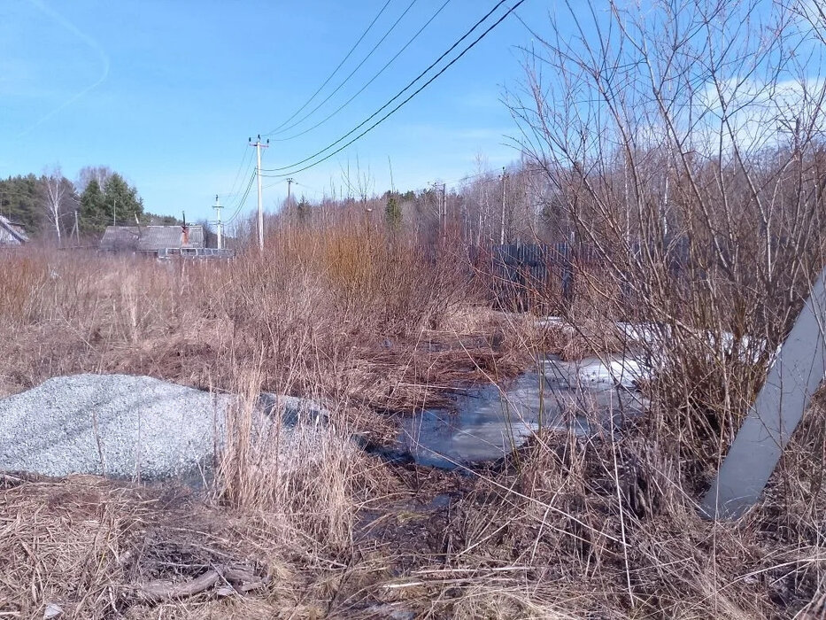 д. Большое Седельниково, СНТ Снежинка, уч. 22 (городской округ Сысертский) - фото сада (1)