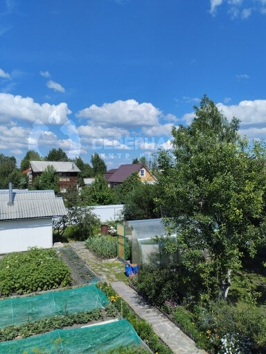 п. Большой Исток, сад. Коллективный сад Надежда-2, уч. 21 (городской округ Сысертский) - фото сада (7)