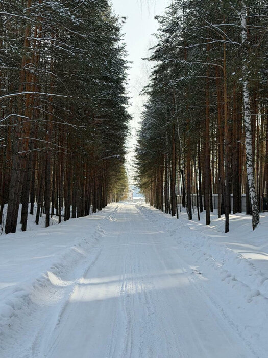п. Сарапулка, ул. территория Белоярская Зона Отдыха, 3-й проезд, земельный участок 8 (городской округ Березовский) - фото земельного участка (1)