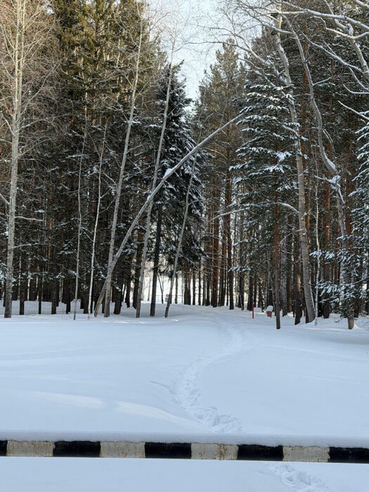 п. Сарапулка, ул. территория Белоярская Зона Отдыха, 3-й проезд, земельный участок 8 (городской округ Березовский) - фото земельного участка (3)