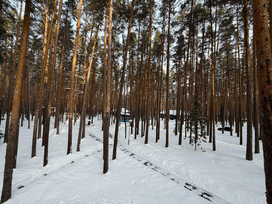 п. Сарапулка, ул. территория Белоярская Зона Отдыха, 3-й проезд, земельный участок 8 (городской округ Березовский) - фото земельного участка (5)