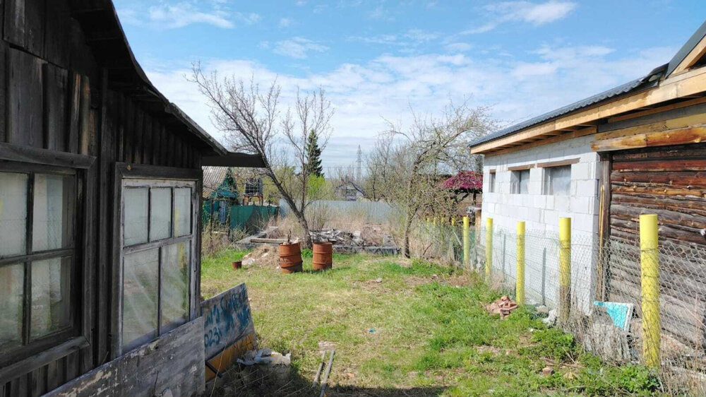 Екатеринбург, СНТ Дружба, уч. 65 (Уктус) - фото сада (2)