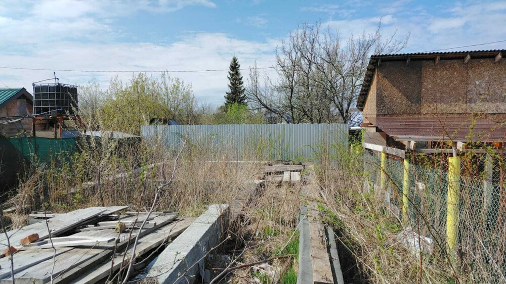 Екатеринбург, СНТ Дружба, уч. 65 (Уктус) - фото сада (5)