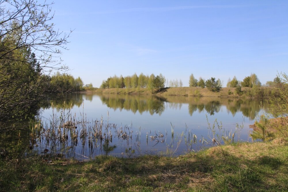 с. Мезенское, ул. Главная (городской округ Заречный) - фото земельного участка (2)