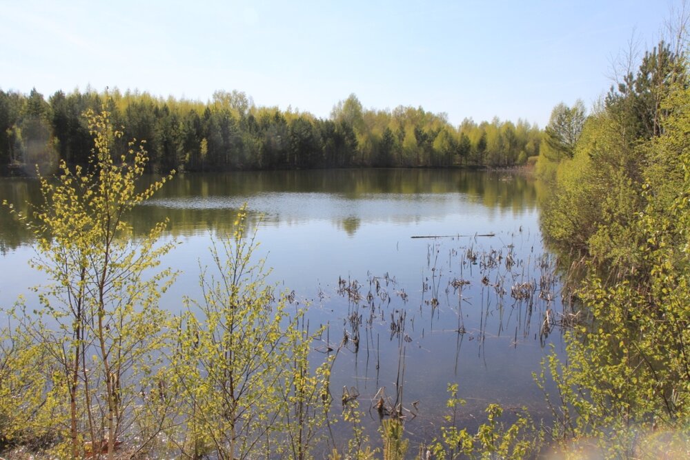 с. Мезенское, ул. Главная (городской округ Заречный) - фото земельного участка (6)