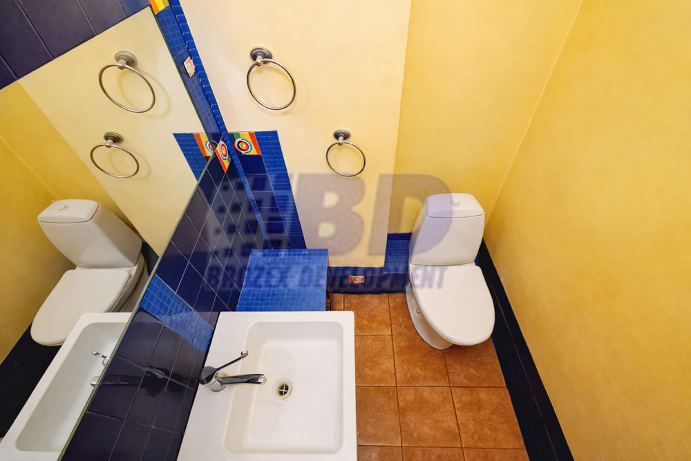 п. Становая, ул. Дачная, 7 (городской округ Березовский) - фото дома (8)