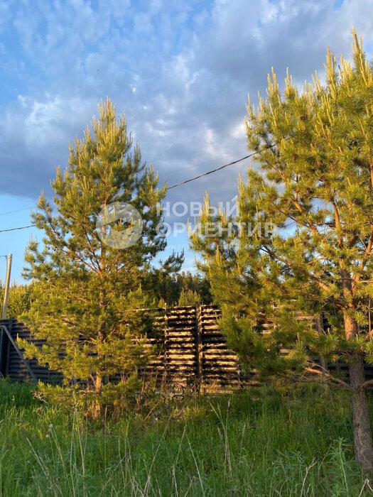 с. Малобрусянское, ул. Олимпийская, 23 (городской округ Белоярский) - фото земельного участка (5)